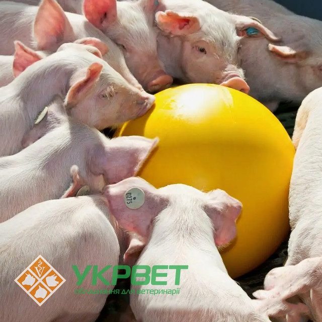 Антистрессовый мяч для свиней