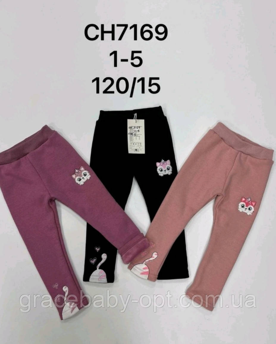 Лосини утеплені для дівчат оптом, S&D, 1-5 років, № CH-7169, фото 1