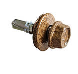 Саморізи золотий дуб 4,8*19 для металу (250 шт пачка), фото 2