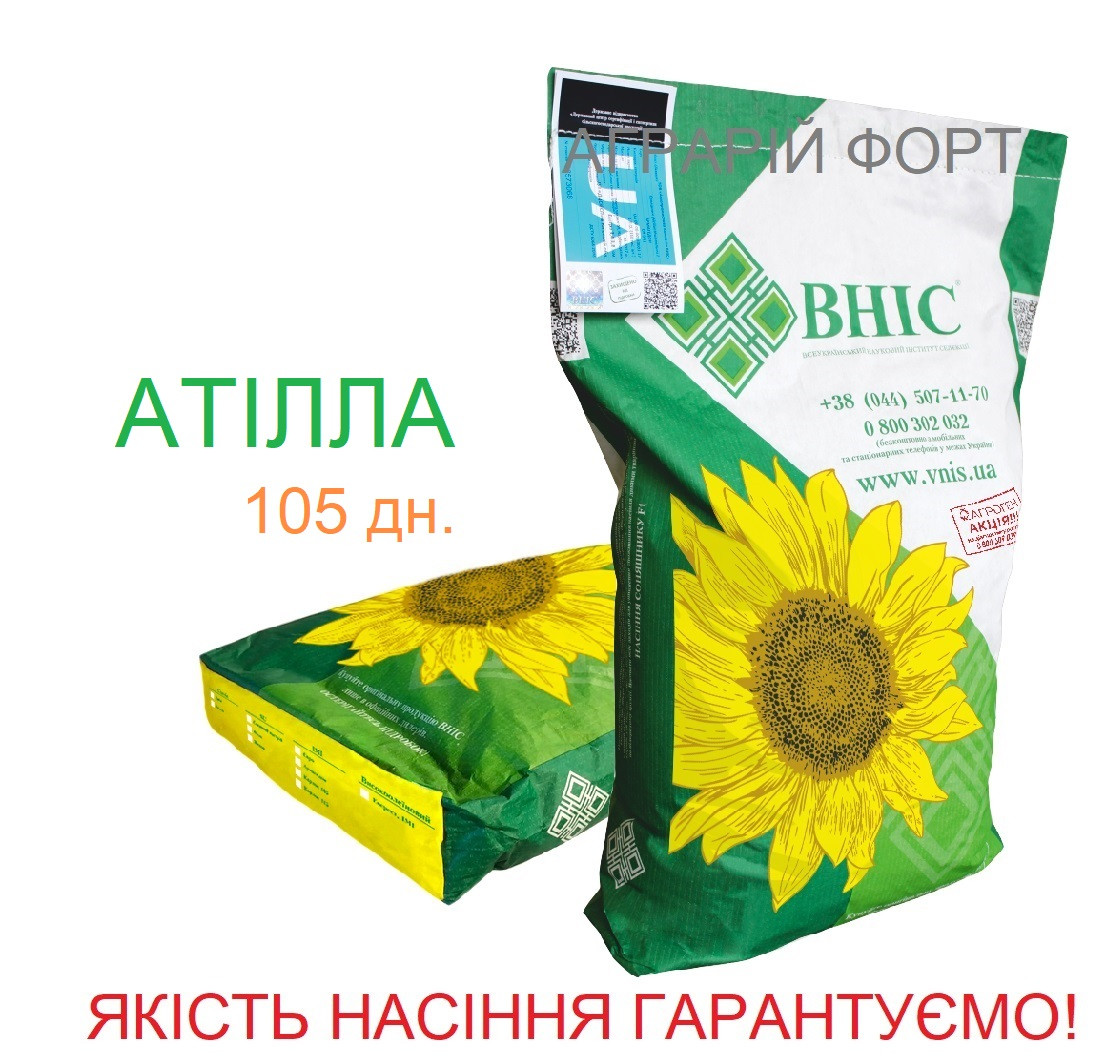 АТИЛЛА - насіння соняшнику ВНІС. Якісний посівний матеріал, Оригінальне насіння.