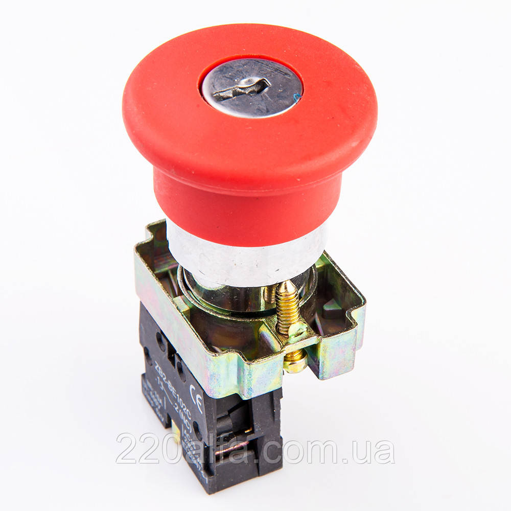Кнопка управління XB2-BS142 натискна з фіксацією, фото 1