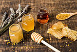 Продукція з меду Co’Honey