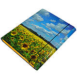 Папка-короб на резинці, картонна, А4, 25 мм, повнокольорова, PP-покриття, фото 5