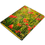 Папка-короб на резинці, картонна, А4, 25 мм, повнокольорова, PP-покриття, фото 6