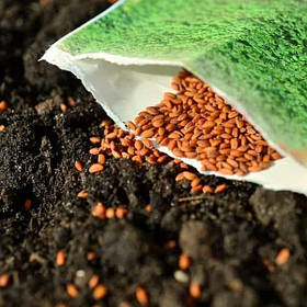 Насіння овочів поштучно із проф. упаковки