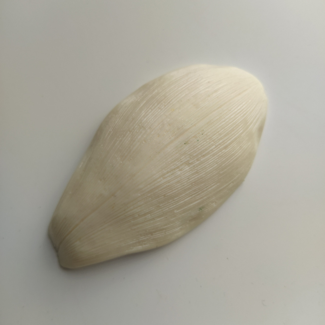 Молд пелюстки цимбідіум., фото 1