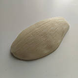 Молд пелюстки цимбідіум., фото 2