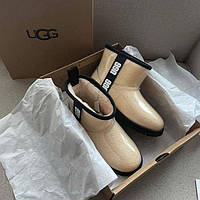 Жіночі молочні Ugg w classic clear mini 36-40 Жіночі селиконові угги
