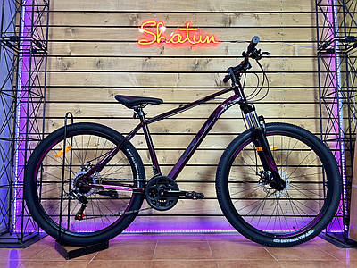 Велосипед гірський спортивний 26" Space Neptune DD FR 15 рама на зріст 145-160 см фіолетовий