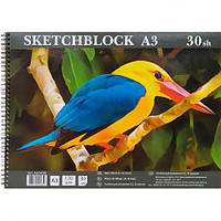 Альбом A3 тверда підкладка 40 аркушів, 120г/м², спіраль AA3430 купити дешево оптом в інтернет-магазині