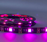 Світлодіодна стрічка від USB SMD5050-RGB універсальна, 2м (Різнокольорова), фото 5