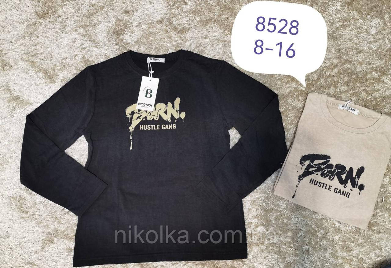 Реглан із легким напиленням для хлопчика оптом, Buddy boy, 8-16 рр., Арт. 8528