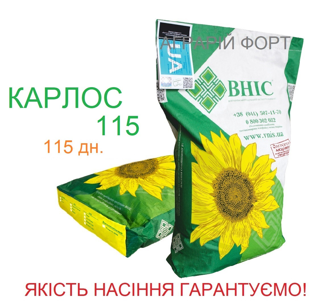 Карлос 115 - насіння соняшнику ВНІС. Якісне насіння соняшника під Євро-Лайтнінг. Оригінал.