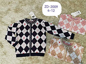 Светр для дівчаток оптом, F&D, 4-12 років, арт. ZD-2009