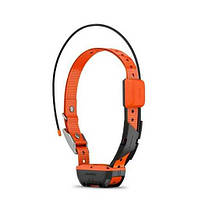 Garmin Alpha T 20 нашийник для собак 010-02447-01, фото 5