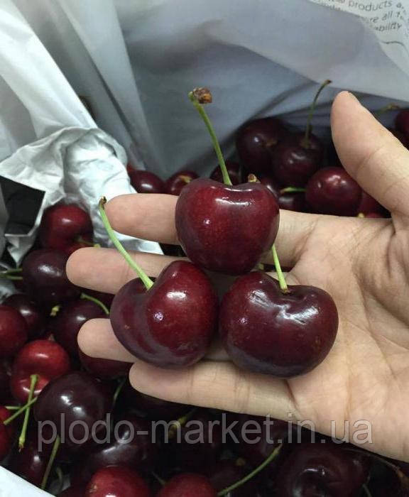 Саджанці Черешні "Наполеон чорна" (річний сорт, пізній термін дозрівання), фото 1