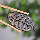 Китайський червоний чай Пуер "Золотий лист", шт., фото 3