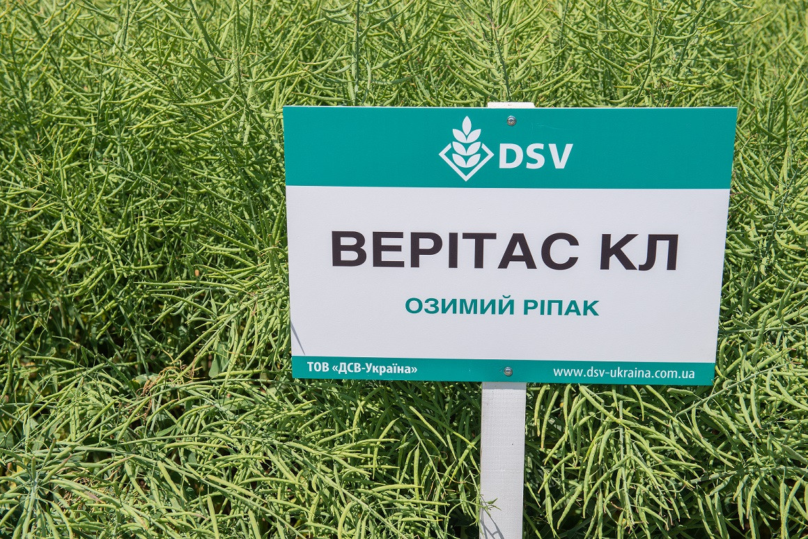 Ріпак Верітас КЛ ф2 (2млн.) оригінатор DCV-2000шт/п.е. від 10п.е.насіння озимого ріпаку
