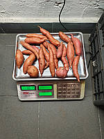 Батат дрібний