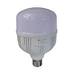 LED lamp Т100 E27 30 Вт 6500 К, фото 2