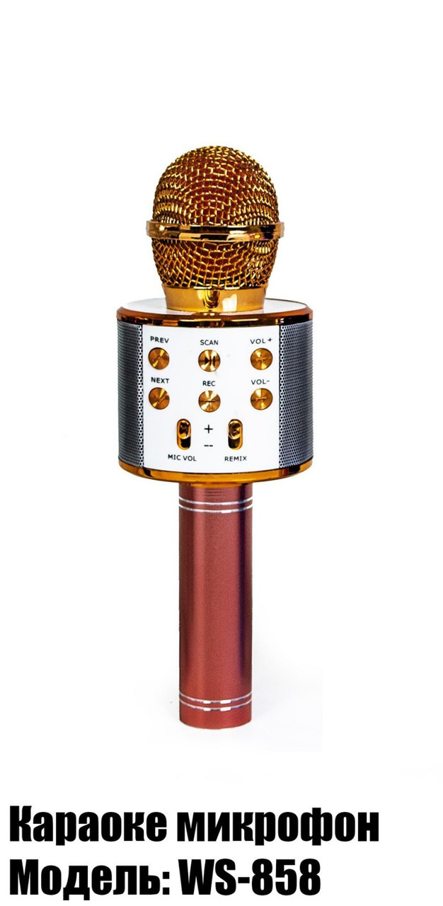 Бездротовий Мікрофон "Караоке" рожеве золото