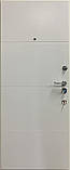 Двері вхідні_Горизонталь (квартира), фото 6