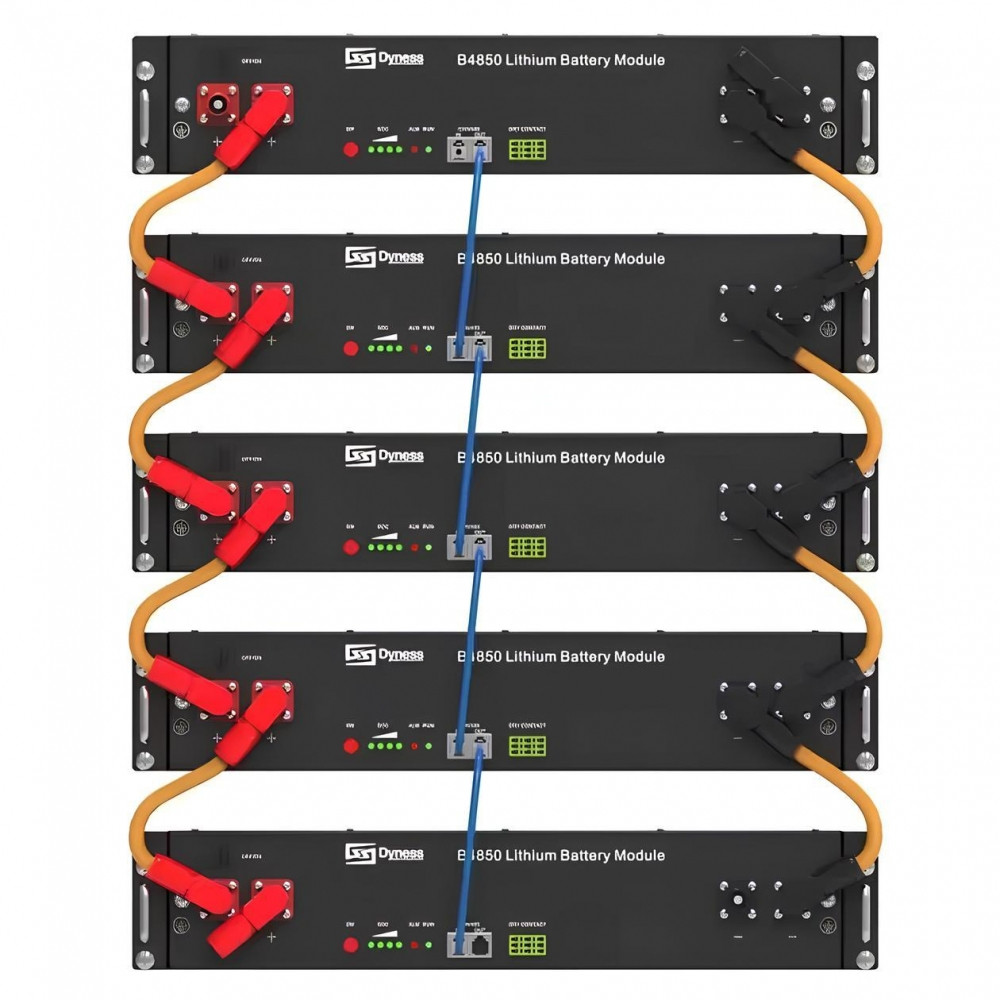 Акумуляторний блок 9.6 кВт 48V/200Ah LiFePO4 Dyness з BMS (літій-залізо-фосфатний акумулятор для ДБЖ)