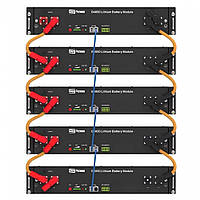 Акумуляторний блок 9.6 кВт 48V/200Ah LiFePO4 Dyness з BMS (літій-залізо-фосфатний акумулятор для ДБЖ)