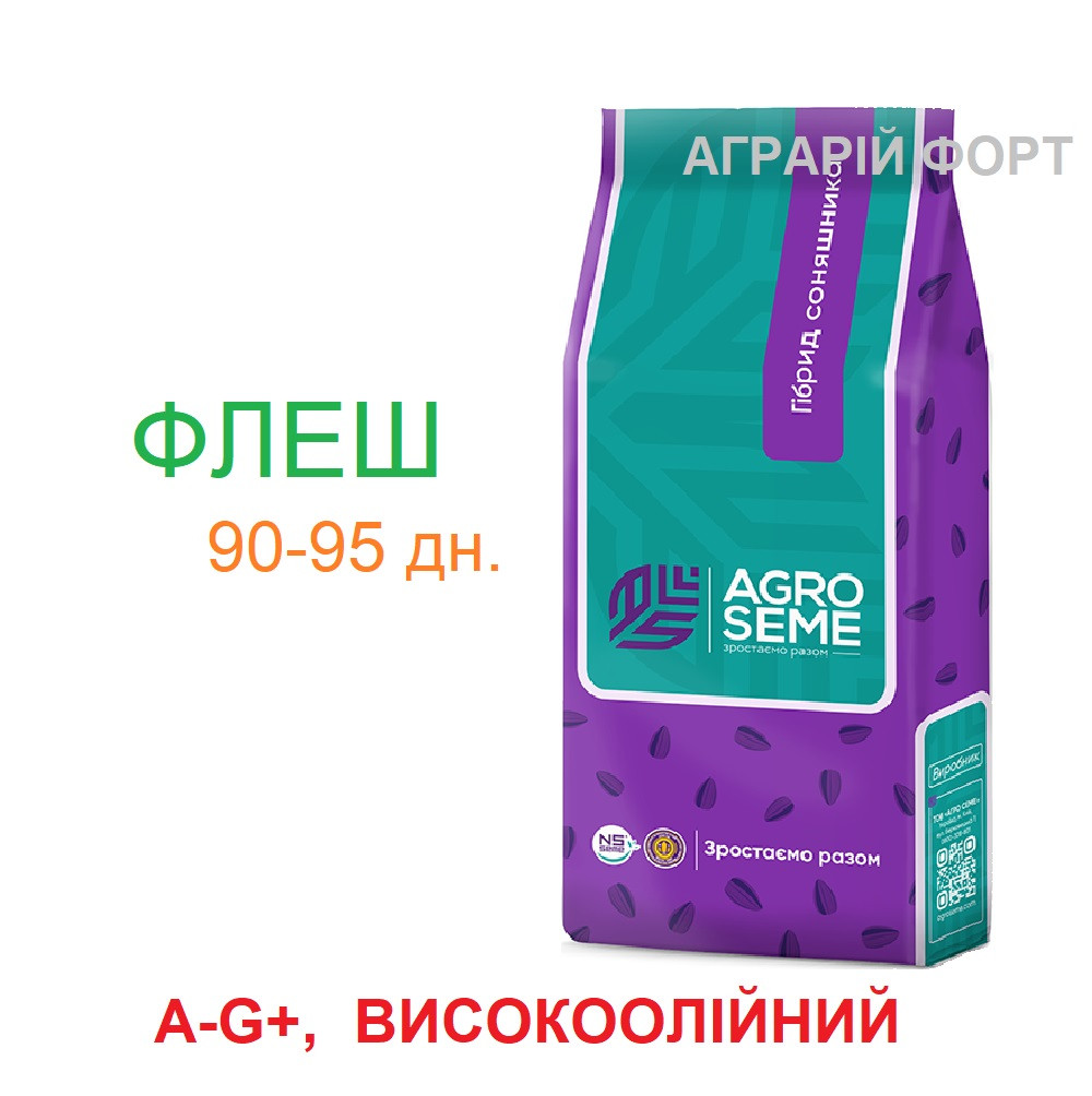 ФЛЕШ. Насіння соняшнику під Гранстар. AGRO SEME