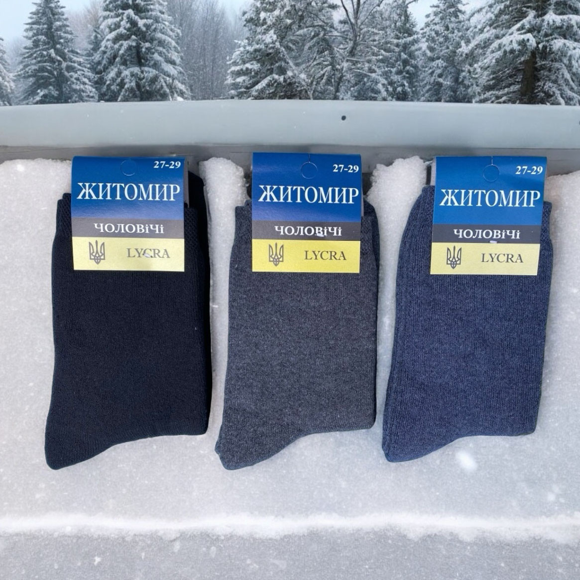 Чоловічі шкарпетки "Махра" Розмір: 41-45 см (15991)