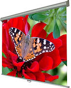 Проекційні екрани