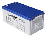 Акумуляторна батарея PANTEC GEL 12-200 12V 200Ah (522х240х224), фото 3