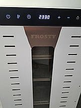 Дегідратор Frosty FFD-20H, фото 4