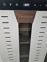 Дегідратор Frosty FFD-20H, фото 6
