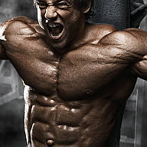 Плакат "Бодибілдер", 43×60см, фото 2