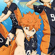 Плакат "Волейбол (аніме), Haikyu!", 60×43см, фото 3