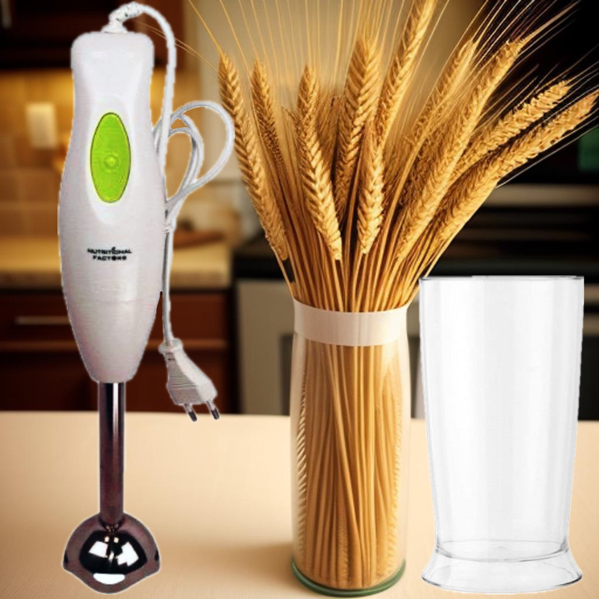 Блендер заглибний Nutritional Factors BN-0100 300W