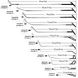 Набір для видалення вм’ятин без фарбування PDR QK0135 (86+ предметів), фото 2
