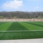 Строительство больших футбольных полей - фото 8 - id-p442051856