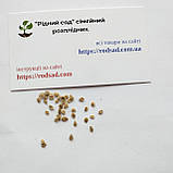 Томат Бонсай черрі насіння 0,1 г (прибл 40 шт) помідор червоний скоростиглий низькорослий, фото 5