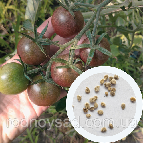 Томат Блэк Черри семена 0,1 г (прибл 20 шт) помидор черный ранний ...