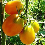 Томат Де барао помаранчевий насіння 0,1 г (прибл 40 шт) помідор середньосстиглий високорослий, фото 2