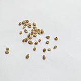 Томат Бонсай черрі насіння 0,1 г (прибл 40 шт) помідор червоний скоростиглий низькорослий, фото 3