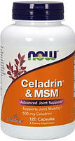 Целадрин і МСМ NOW Foods Celadrin MSM 120 капс