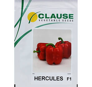 Насіння солодкого перцю «Геркулес F1» 5 г, фото 2