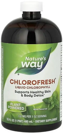 Хлорофіл Nature's Way Chlorofresh Liquid Chlorophyll 473 ml mint, фото 1