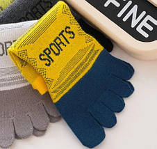 Спортивні шкарпетки з пальцями Sports (41-44), фото 5
