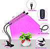 Фітолампа для рослин подвійна USB з таймером і регулюванням яскравості, фото 9