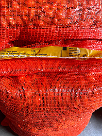 Озима цибуля тиканка Дайтона F-1 (Геркулес)10-21мм 10кг Броєр Голландія