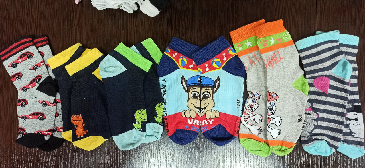 Дитячі шкарпетки демі. Р16, фото 1